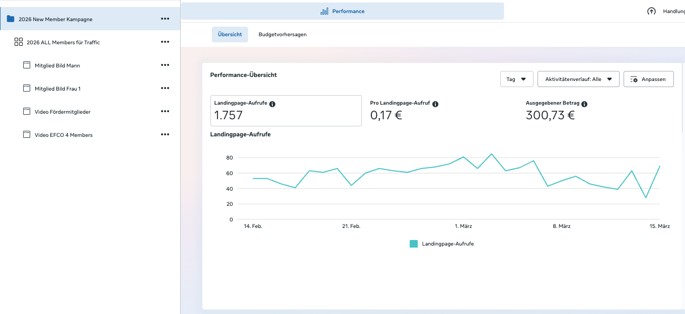 Performance-Auswertung einer Werbekampagne mit 1.757 Landingpage-Aufrufen bei niedrigen Kosten von 0,17 € pro Aufruf.